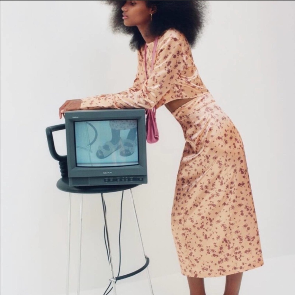 Zara Satin Floral Printed Midi Skirt (Only) In Salmon Size Large